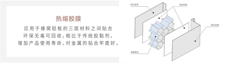 20201201413e59529.jpg